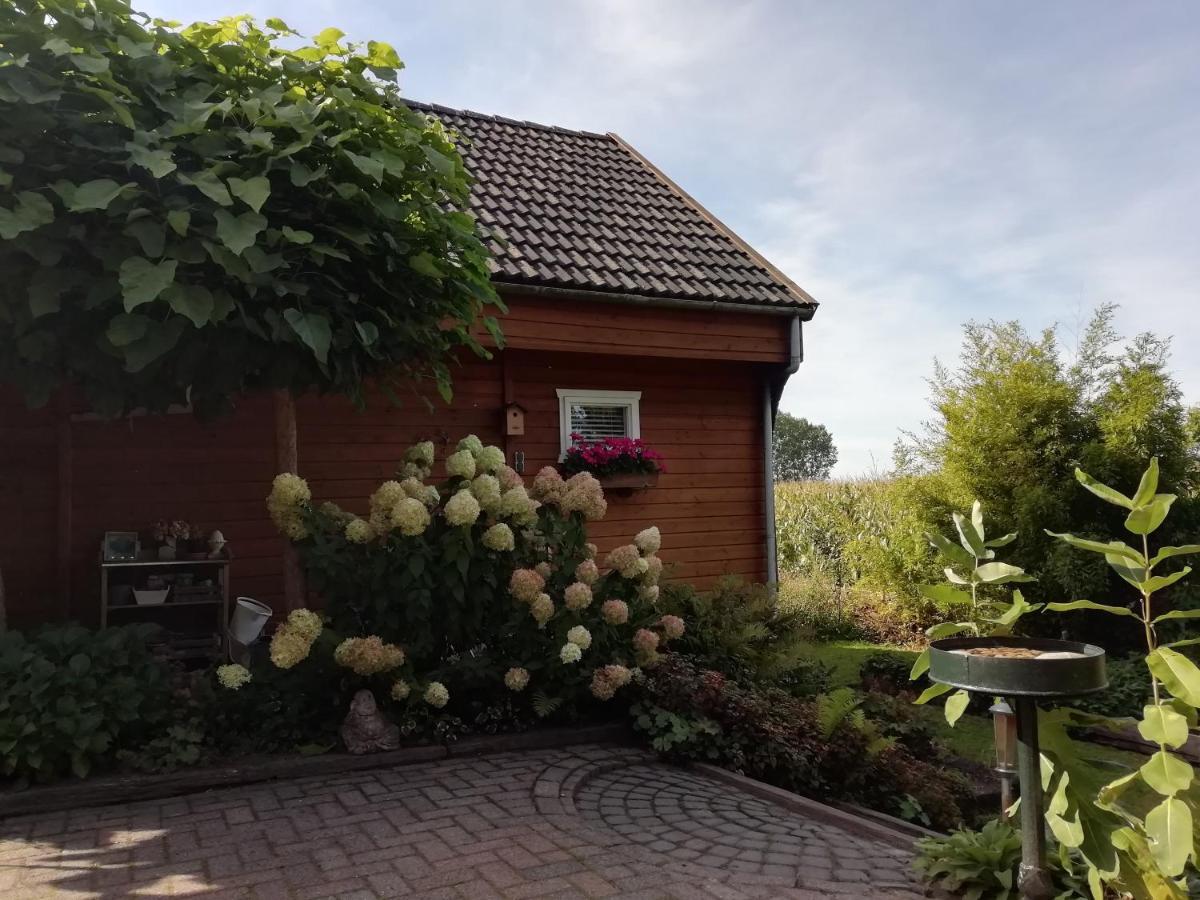 Woodstock B+B Villa Drouwenermond Exteriör bild